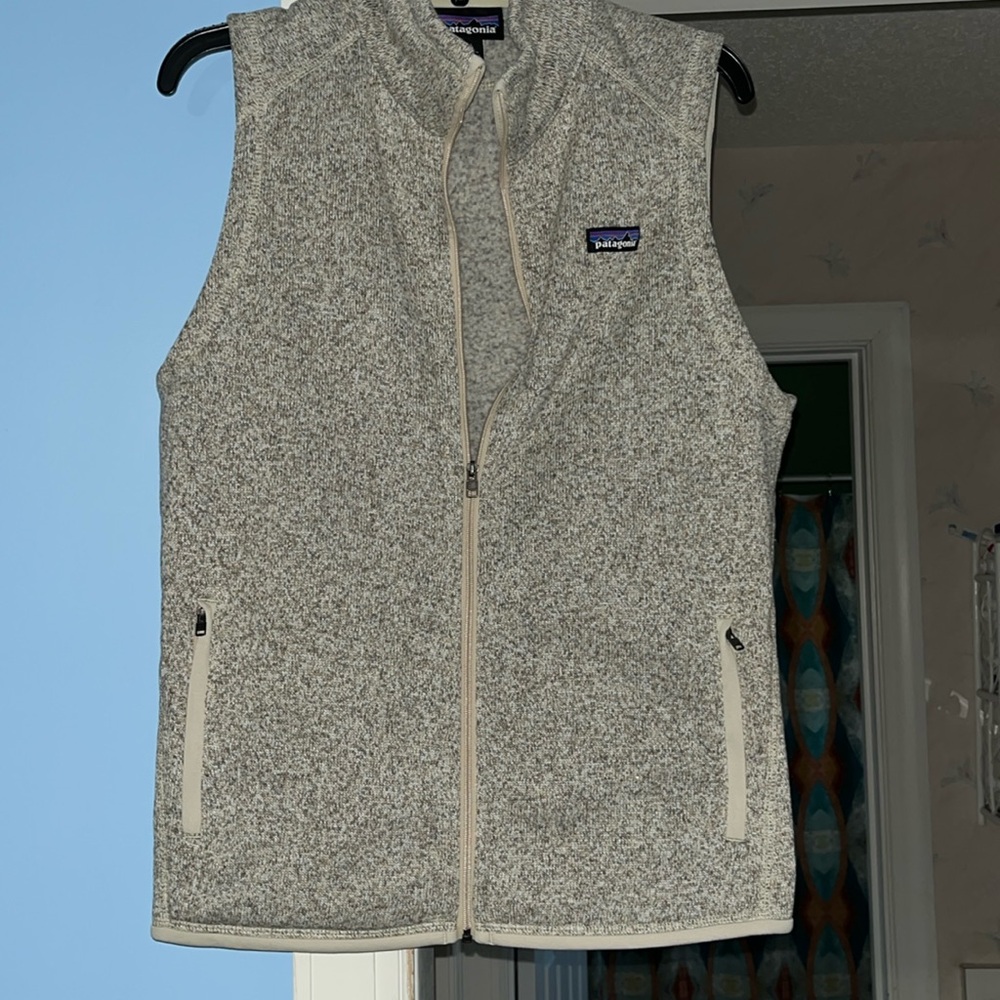 Patagonia Heather Gray vest
